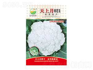 �׻�Ҭ�˷N��-������021-̫���N�I(y��)