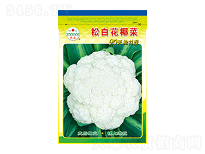 �׻�Ҭ�˷N��-�ɰ׻�Ҭ��-̫���N�I(y��)