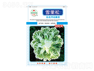 �׻�Ҭ�˷N��-ѩ����100��-̫��(l��)�N�I(y��)