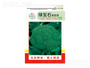 ���m���N��-�G��ʯ-̫���N�I(y��)