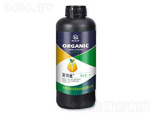 ѿ�S��-��ǰ�S