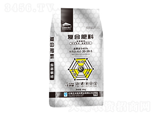 �������͏�(f��)�Ϸ���20-20-5-����S