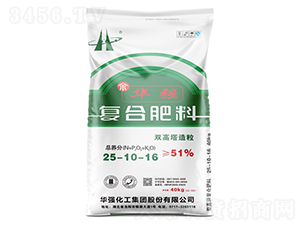 �p���������ͺϷ���25-10-16-���A��-�A���������F