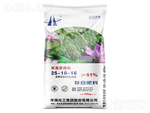 ɏź�����p����������(f��)�Ϸ���25-10-16-���A��(qi��ng)-�A��(qi��ng)�������F(tu��n)