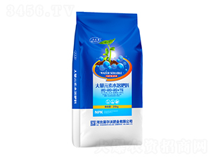 ����Ԫ��ˮ�ܷ���20-20-20+TE-������