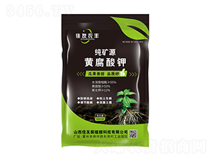 ���VԴ�S�����-��������