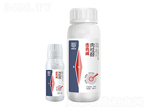 ���ȩ-������-���_(d��)