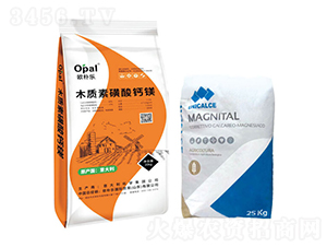 ľ�|(zh��)�ػ����}�V-�W�㘷