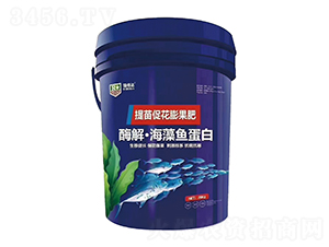 ø�⡤�����~����-���_