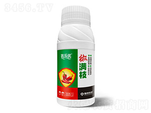 ���M֦-�|����(y��u)-����Ƽ�