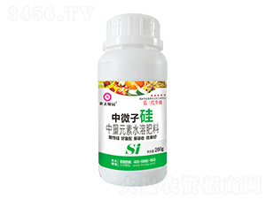 200g����Ԫ��ˮ�ܷ���-��΢�ӹ�-�r(n��ng)��ڈ@