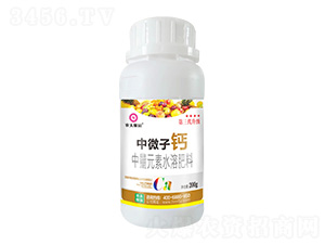 200g����Ԫ��ˮ�ܷ���-��΢���}-�r(n��ng)��ڈ@