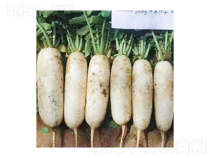 �}�ȷN��-����313-�A孷N�I(y��)