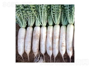 �}�ȷN��-��Ů-�A孷N�I(y��)