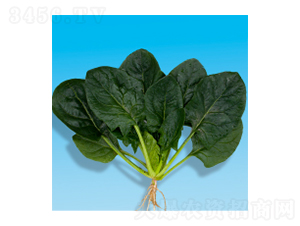 ���˷N��-孲�4̖(h��o)-�A孷N�I(y��)