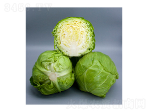 ���{(l��n)�N��-���{(l��n)2115-�A孷N�I(y��)