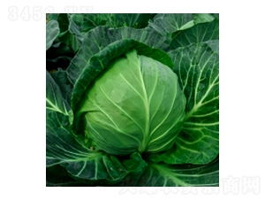 ���{(l��n)�N��-學�317-�A孷N�I(y��)