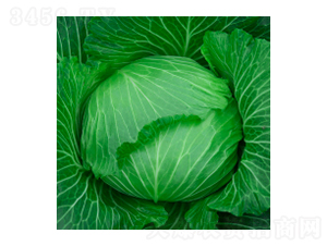 ���{�N��-學�316-�A孷N�I(y��)