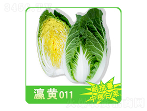 ��ײ˷N��-��S011-�A孷N�I(y��)