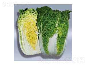 ��ײ˷N��-�伪-�A孷N�I(y��)