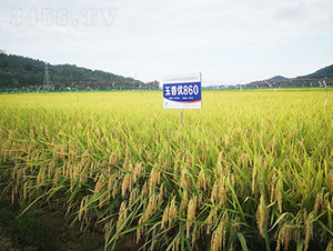 ���マ(y��u)860-ˮ���N��-�𽡷N�I(y��)