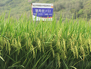 �ۃɃ�(y��u)1122-ˮ���N��-�𽡷N�I(y��)