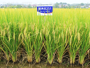 �ۃɃ�(y��u)251-ˮ���N��-�𽡷N�I(y��)