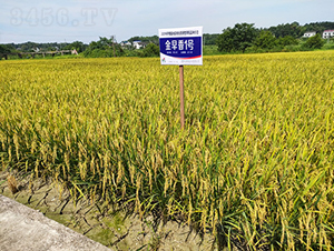 ������1̖(h��o)-ˮ���N��-�𽡷N�I(y��)