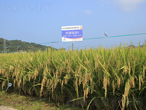 �A�マ(y��u)281-ˮ���N��-�𽡷N�I(y��)