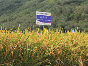 �а�2̖(h��o)-ˮ���N��-�𽡷N�I(y��)