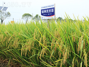 �R�Ƀ�(y��u)�z��-ˮ���N��-�𽡷N�I(y��)