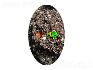 ������|(zh��)-���d����