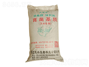 ���׌���������|(zh��)-���d��-���d����