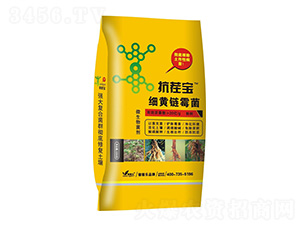 ��(x��)�S�ù��-���猚-�ڼژ�