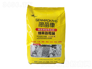 ��(x��)�S�ù��-���翵-�ڼژ�