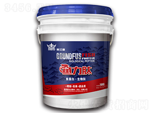 �~(y��)���ģ��~(y��)���ס������ģ�-���m��