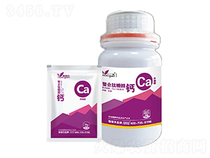 �������Ǵ��}-�ڼژ�