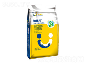 �}�V���\��-�Ӽژ�-�ڼژ�