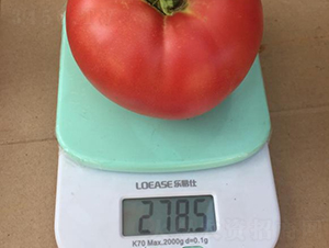 �߿�����5̖-���ѷN��-���S�N�I(y��)