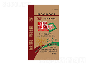 �׷ʸ���(d��ng)��-�³��r(n��ng)�I(y��)