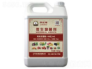 ΢�������-���ϣ-���ʢԴ