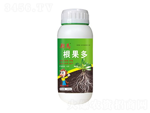 ������-���R-ǧ���R