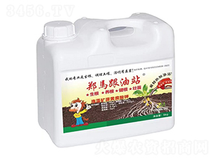 ����VԴ�S�����-����վ-ǧ���R