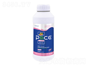 ����������ˮ�ܷ���-��˹�����p��-����˹