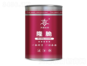 ¡��ϵ��-��¡����-��¡�r(n��ng)�I(y��)