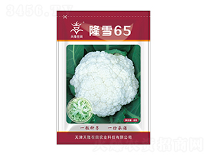 ¡ѩ65-��¡����-��¡�r(n��ng)�I(y��)