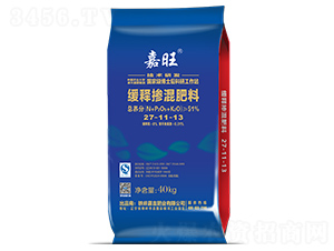 ��ጓ������27-11-13-����-���ʢԴ