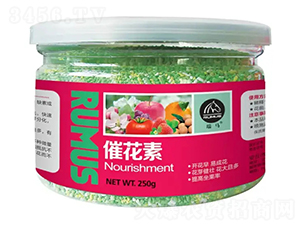 �߻���-�̶�����