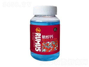 ���R�Ǵ��}-�̶�����