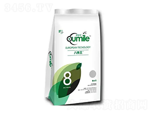 ������-�W�ט�(l��)-�̶�����